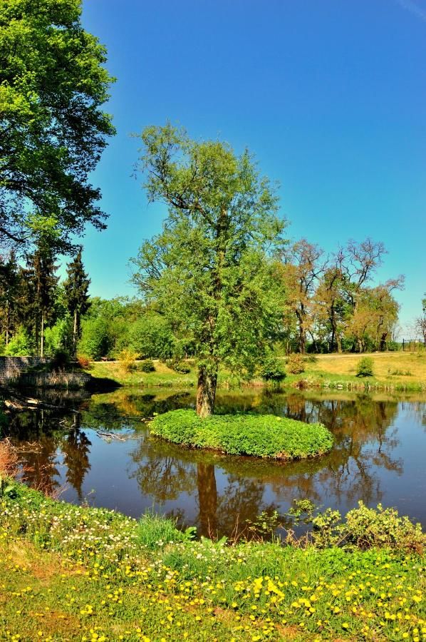 Отели типа «постель и завтрак» Pałac Jabłonowo Уйсце-45